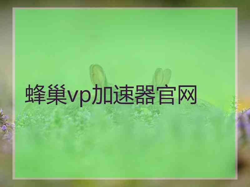 蜂巢vp加速器官网