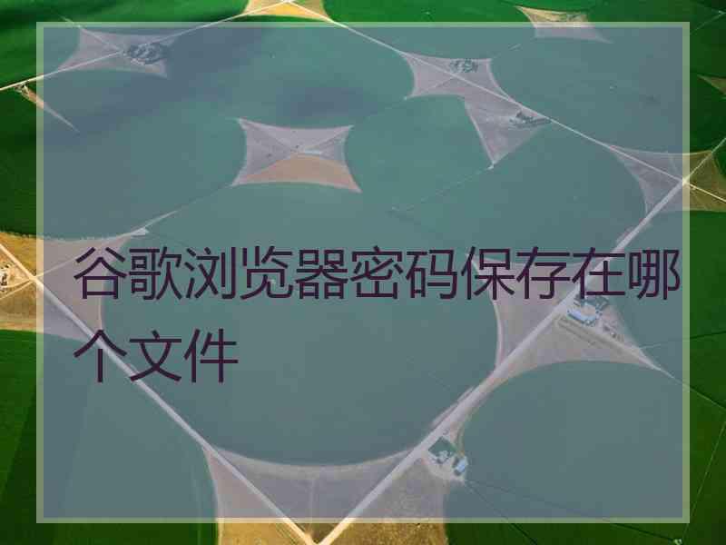 谷歌浏览器密码保存在哪个文件