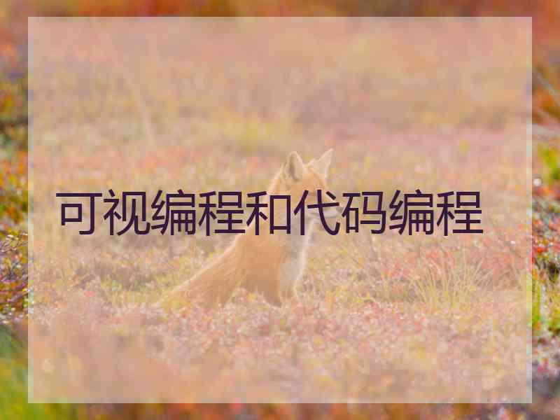 可视编程和代码编程