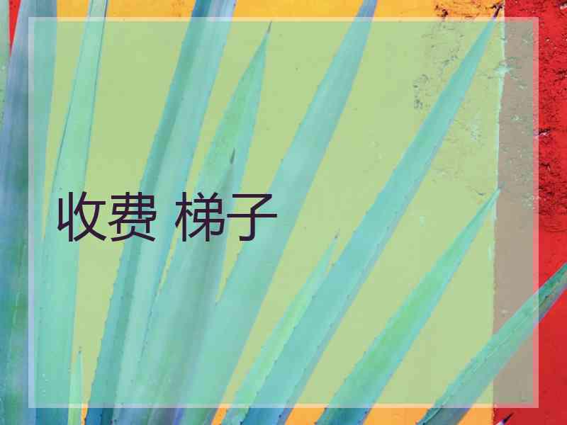 收费 梯子