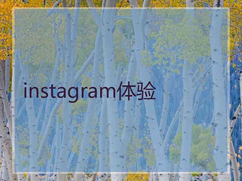 instagram体验
