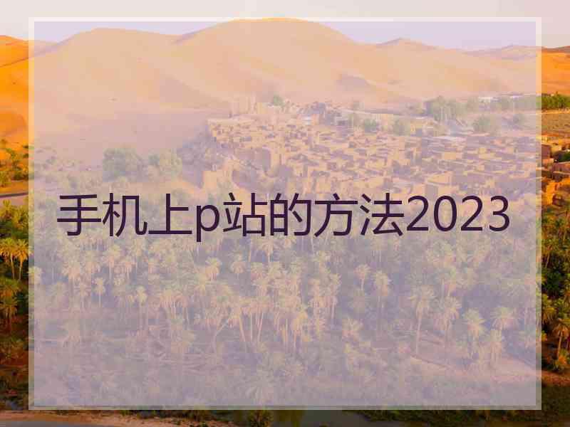 手机上p站的方法2023