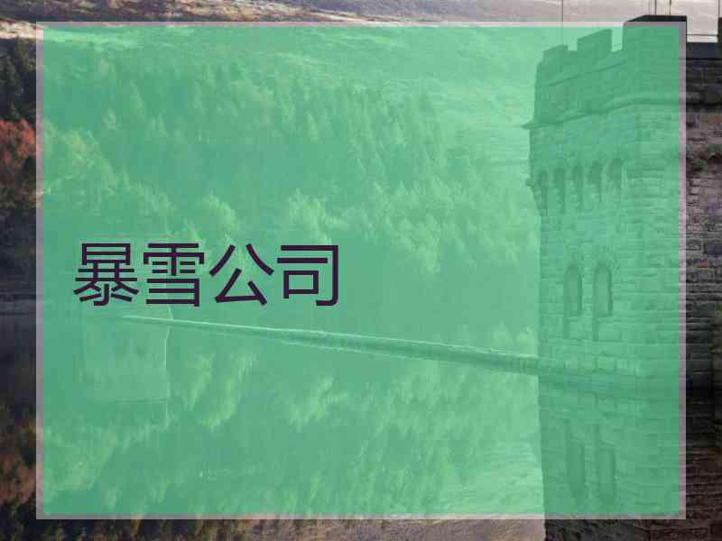 暴雪公司