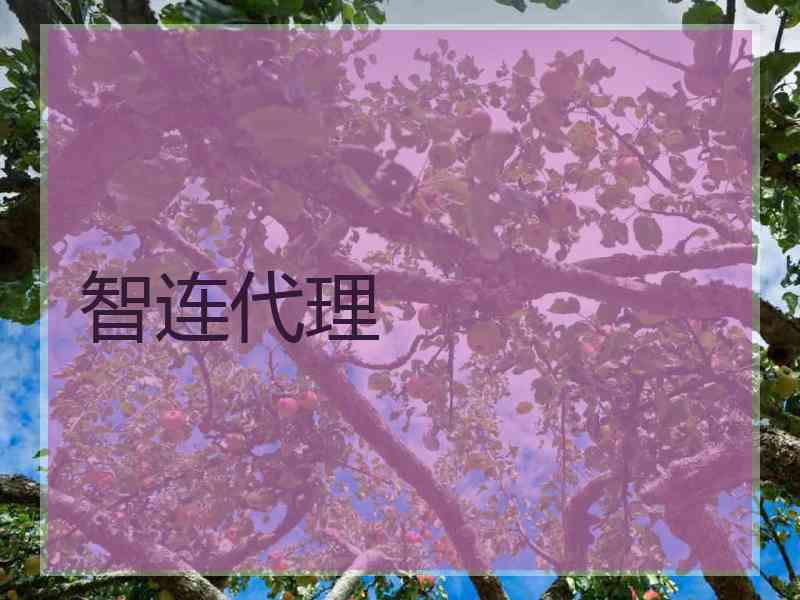 智连代理