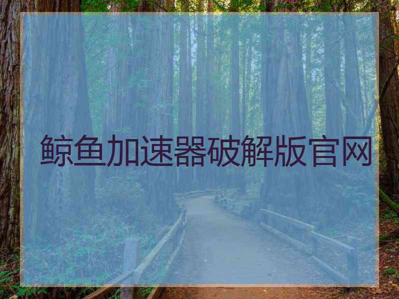 鲸鱼加速器破解版官网
