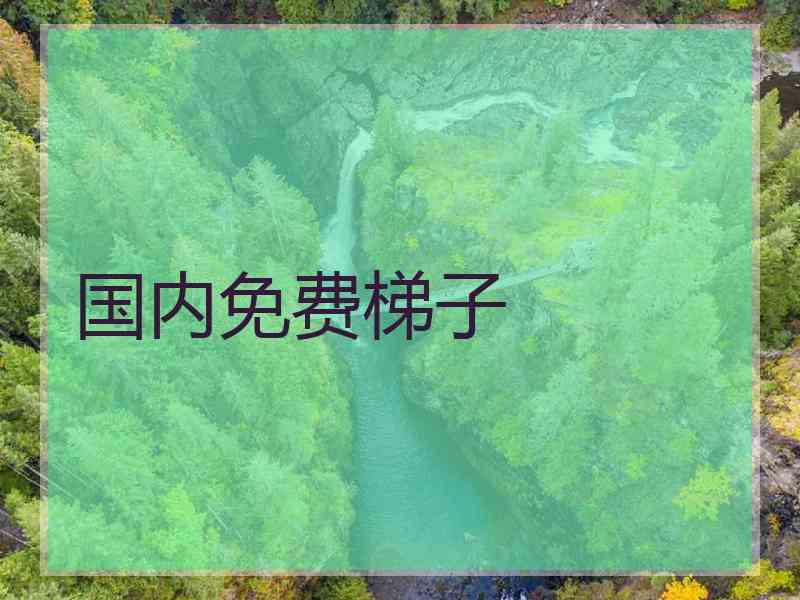 国内免费梯子