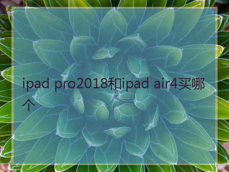 ipad pro2018和ipad air4买哪个