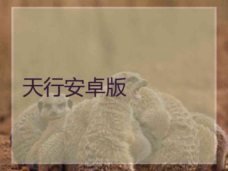 天行安卓版