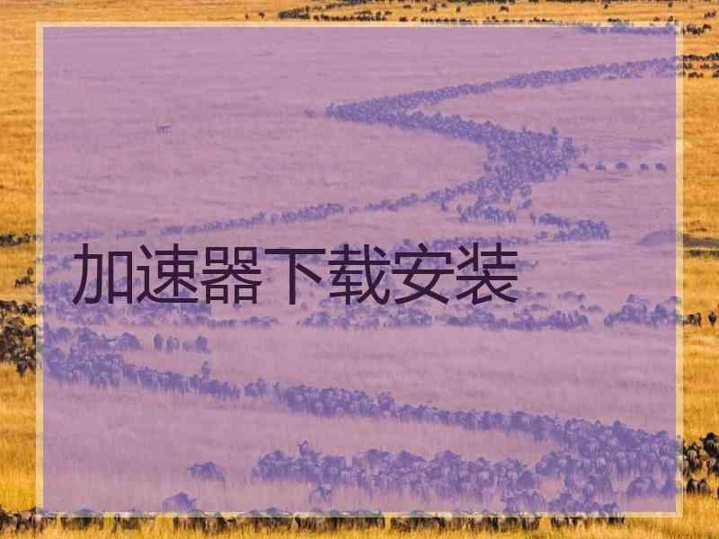 加速器下载安装