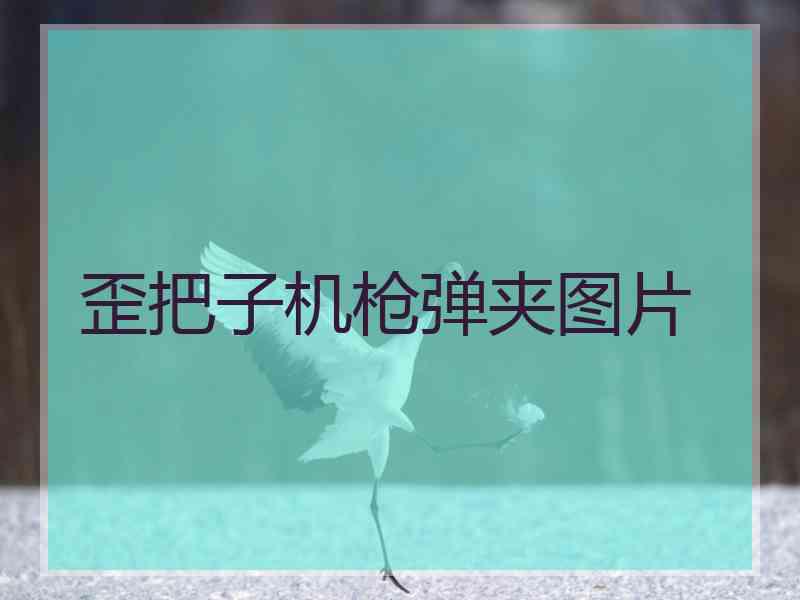 歪把子机枪弹夹图片