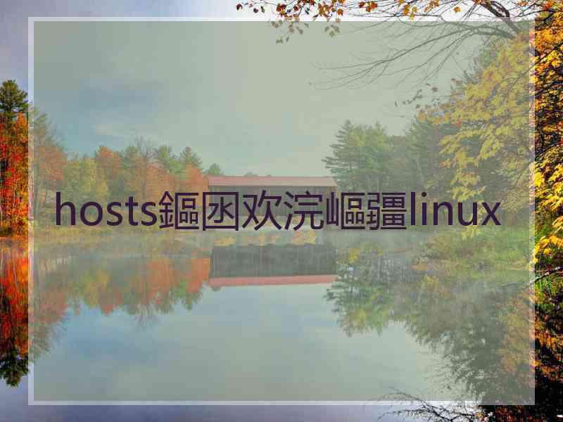 hosts鏂囦欢浣嶇疆linux