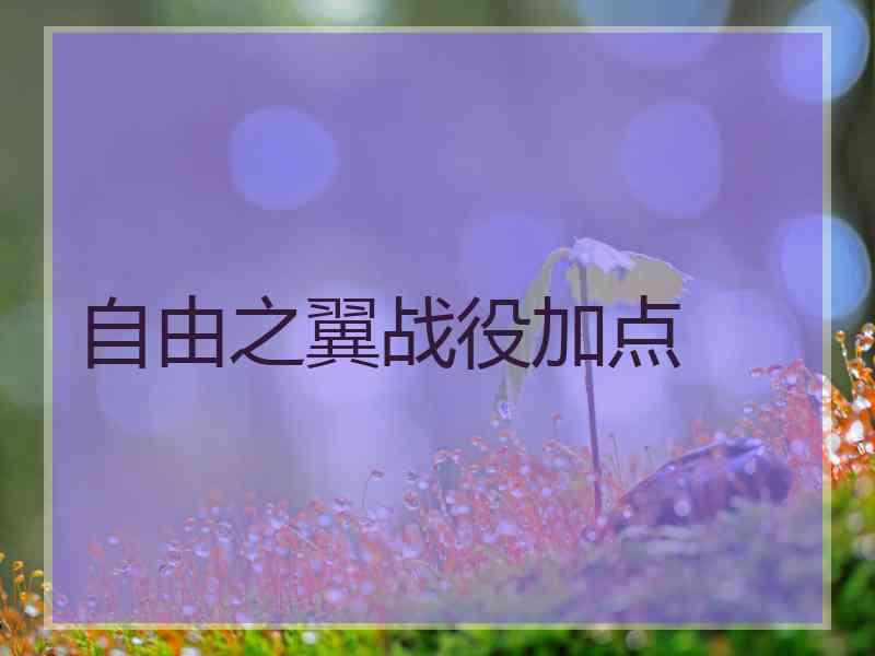 自由之翼战役加点