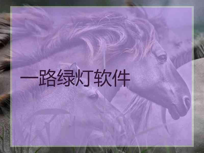 一路绿灯软件