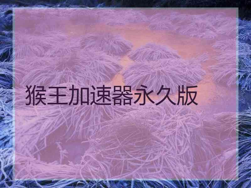 猴王加速器永久版