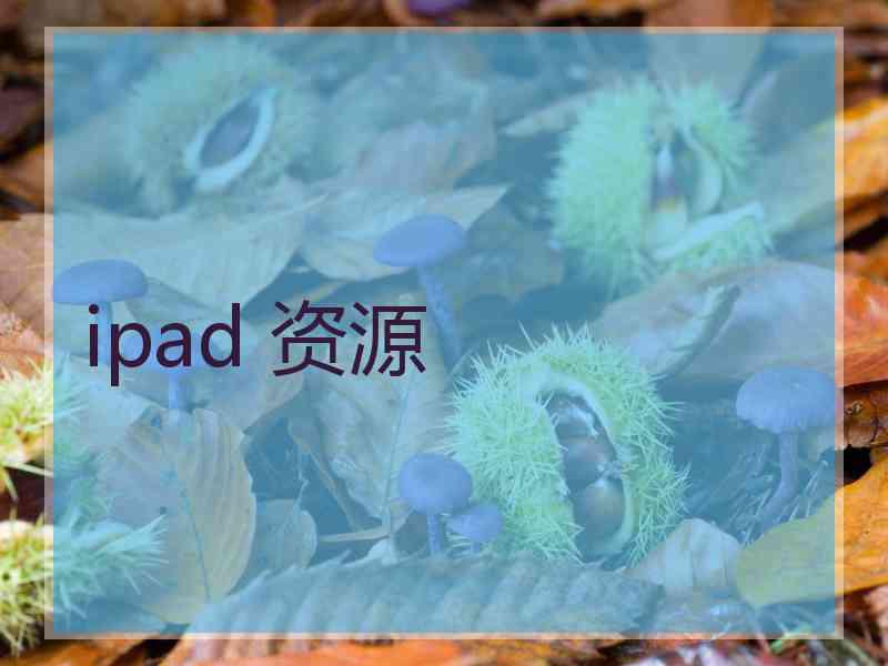 ipad 资源