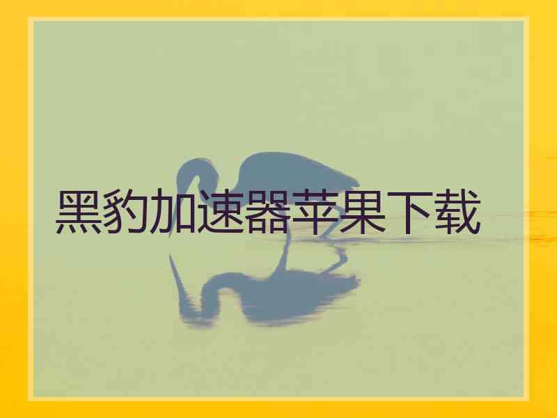黑豹加速器苹果下载