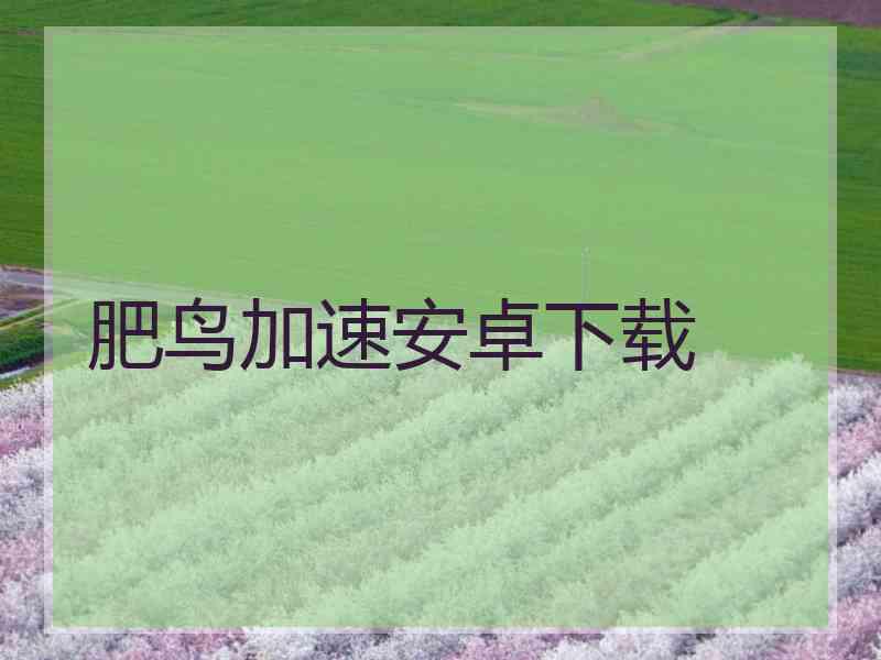 肥鸟加速安卓下载