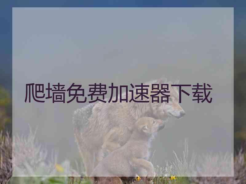 爬墙免费加速器下载
