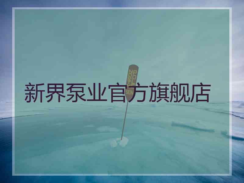 新界泵业官方旗舰店