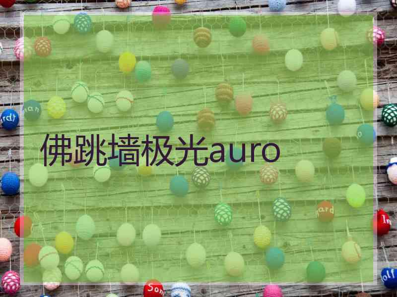 佛跳墙极光auro