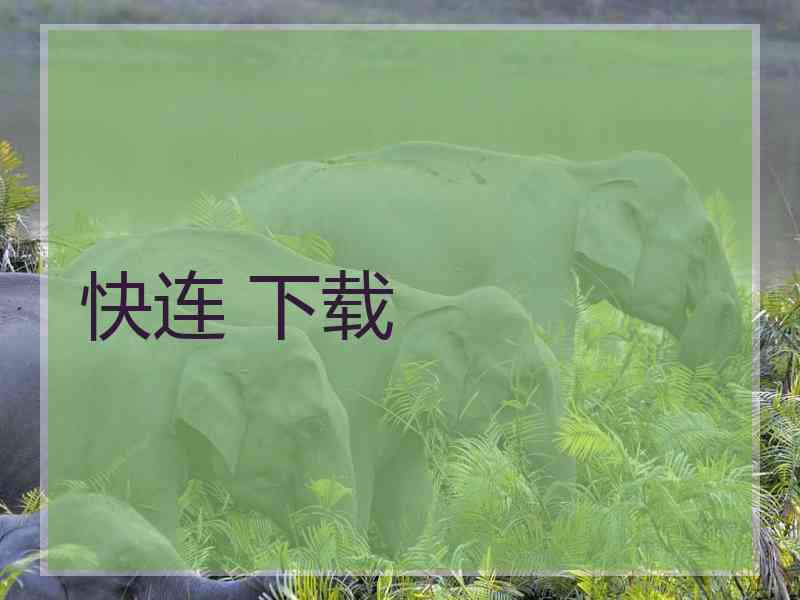快连 下载