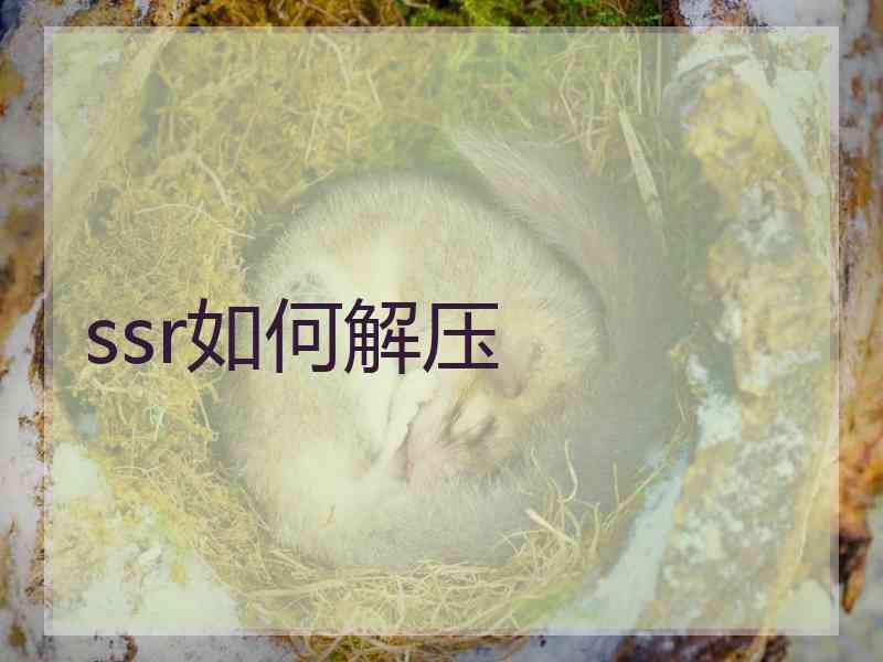 ssr如何解压