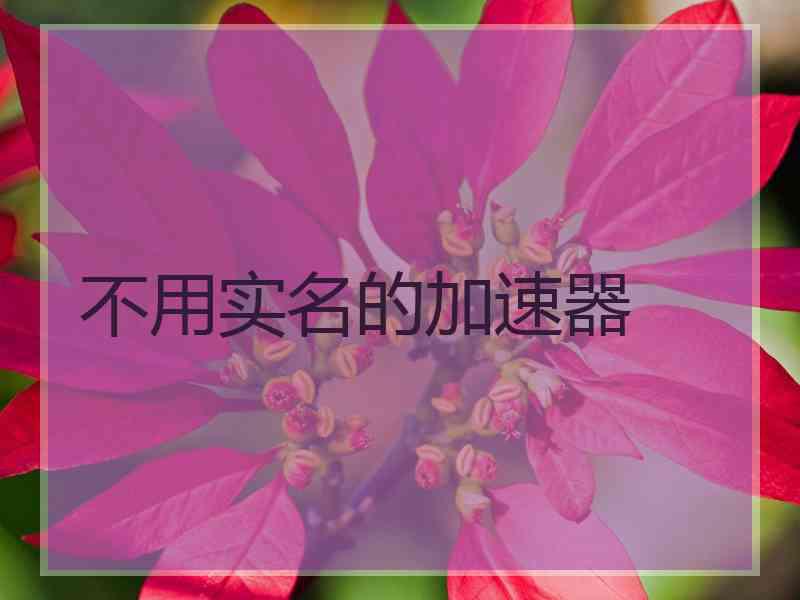 不用实名的加速器