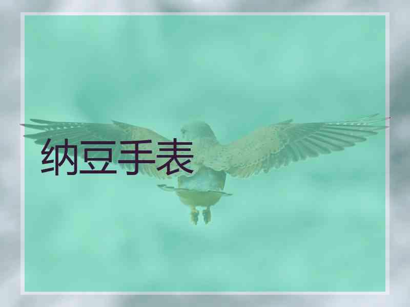纳豆手表