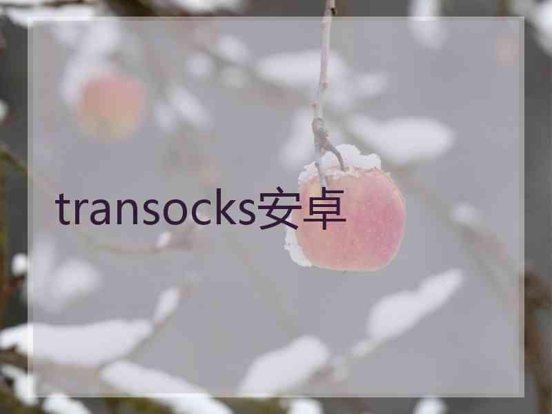 transocks安卓