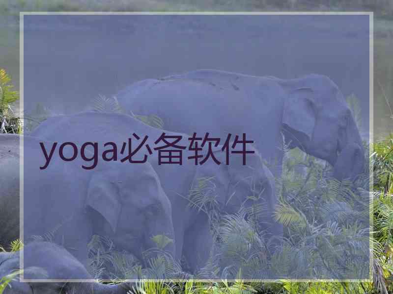 yoga必备软件