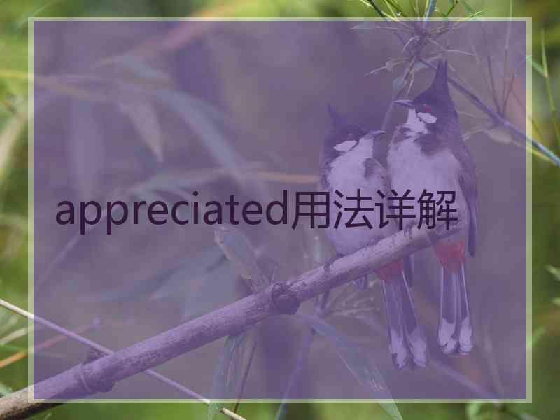 appreciated用法详解