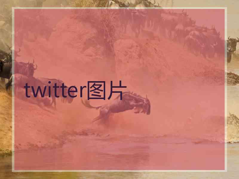 twitter图片