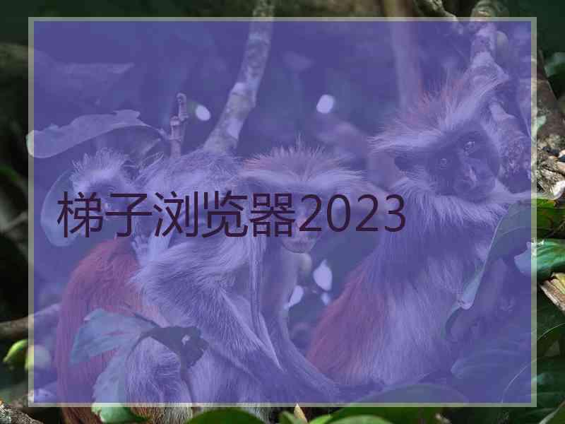 梯子浏览器2023