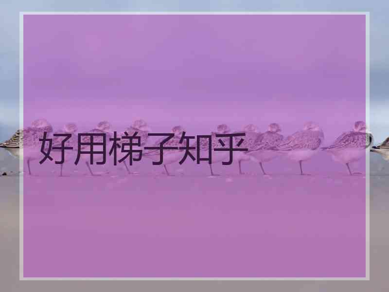 好用梯子知乎