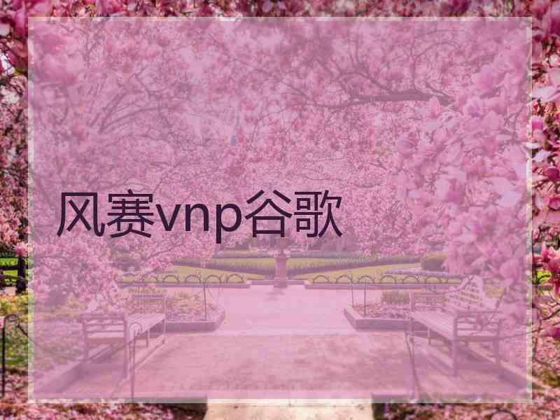 风赛vnp谷歌