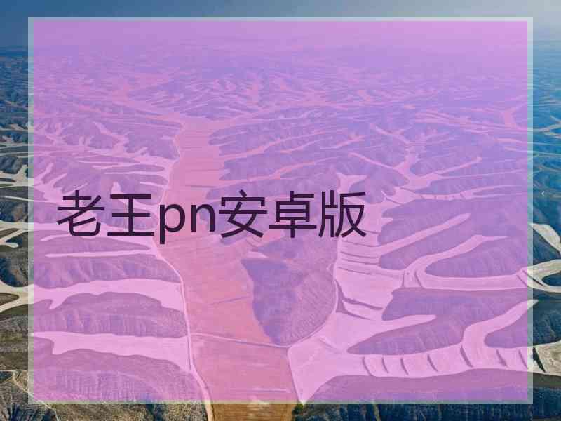 老王pn安卓版