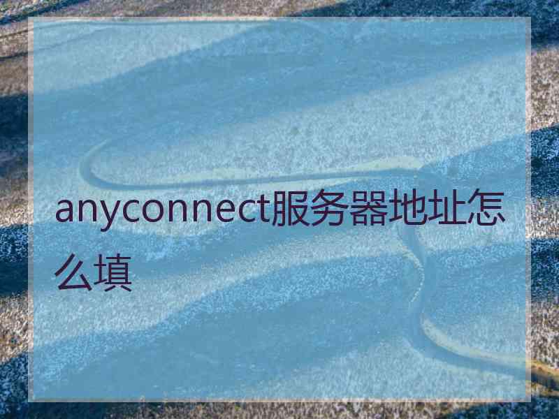 anyconnect服务器地址怎么填