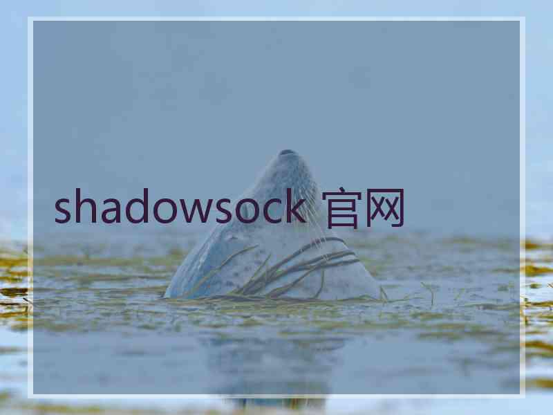 shadowsock 官网