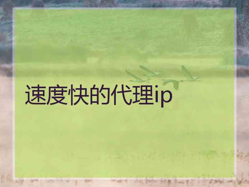 速度快的代理ip
