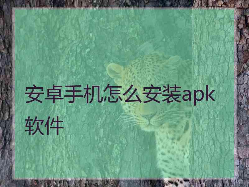 安卓手机怎么安装apk软件