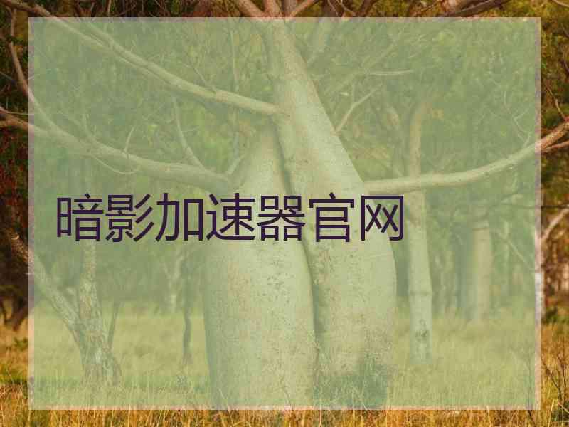 暗影加速器官网