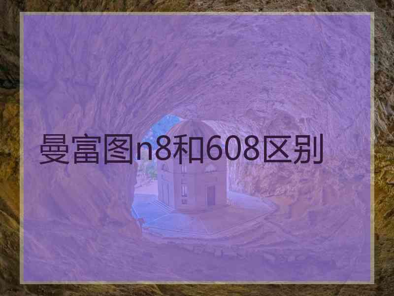 曼富图n8和608区别