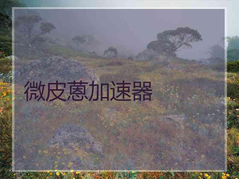 微皮蒽加速器