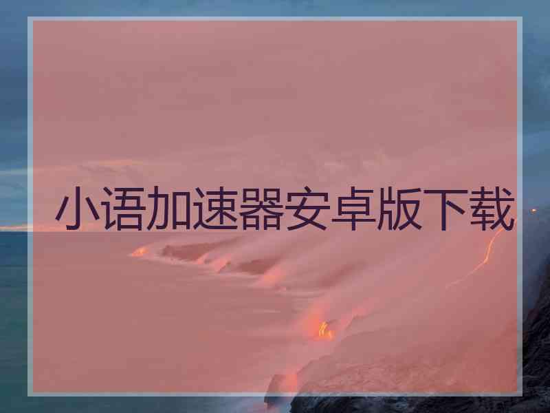 小语加速器安卓版下载