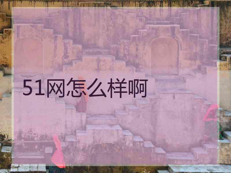 51网怎么样啊