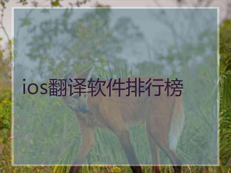 ios翻译软件排行榜