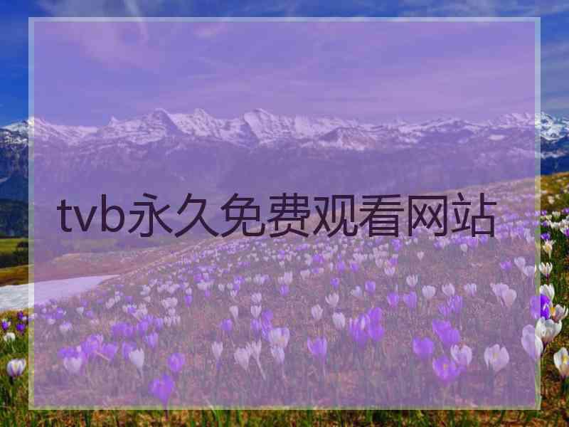 tvb永久免费观看网站