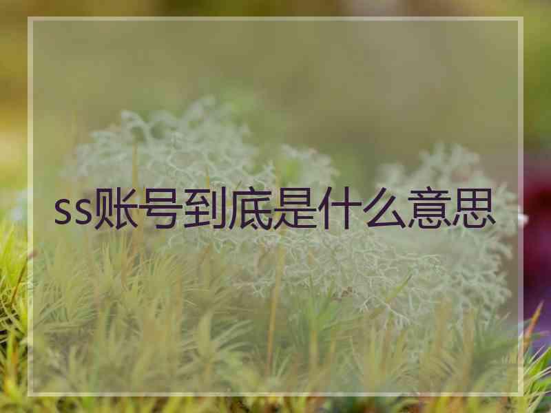 ss账号到底是什么意思