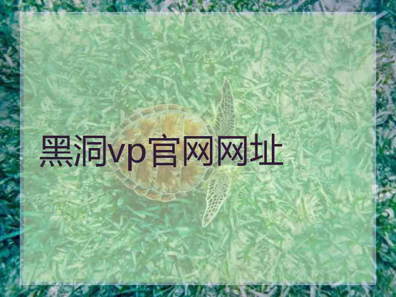 黑洞vp官网网址