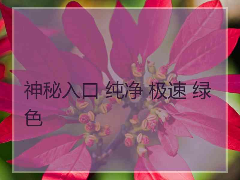 神秘入口 纯净 极速 绿色